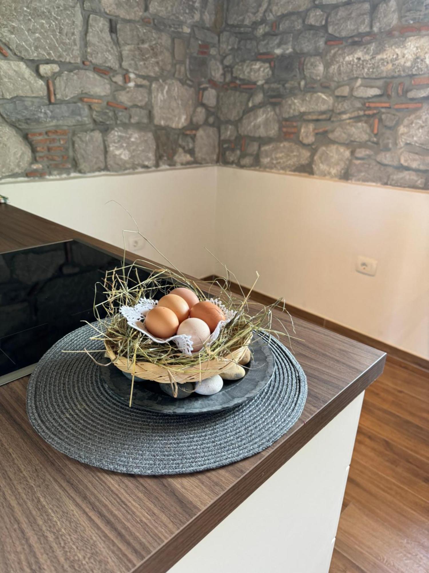 Appartement Pri Piskovih Grgar